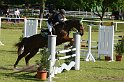 204M1774_Graefin_Stil Axx